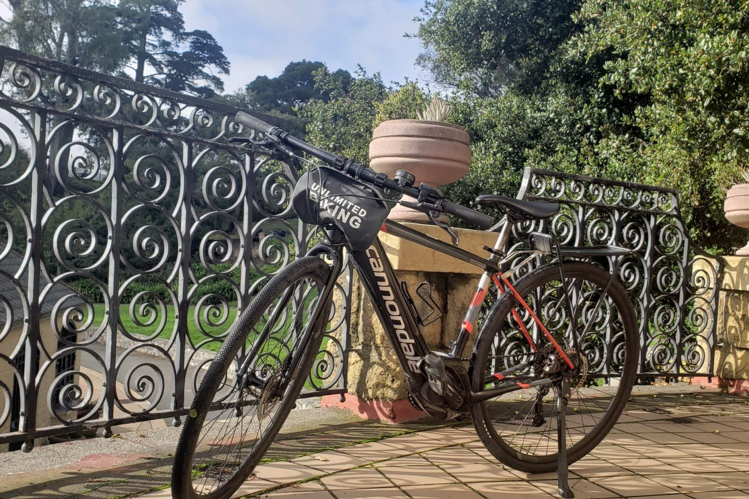 San Francisco: Golden Gate Park Electric Bike Rental - Photo 1 of 3